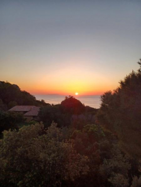 Villa La Lecceta surrounded by greenery and sea view with sunset